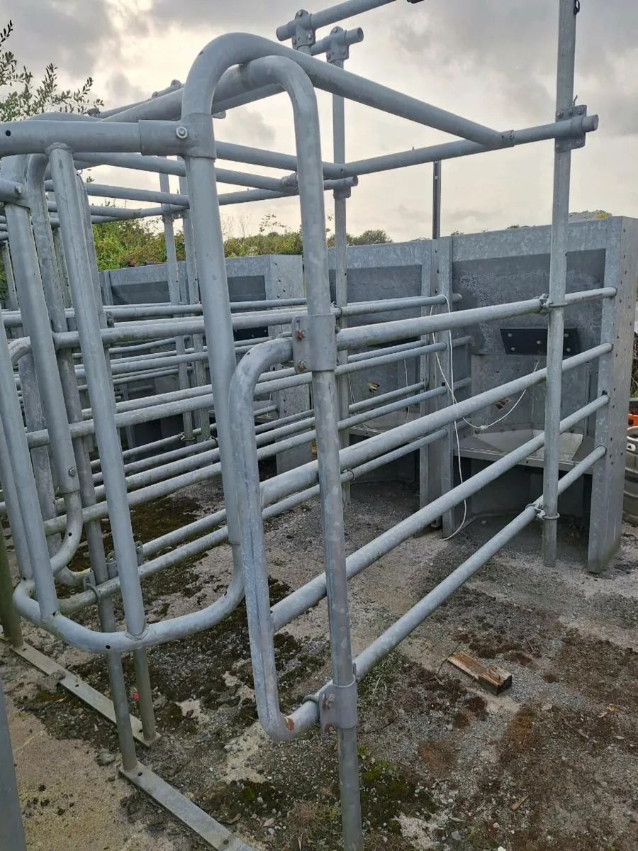 Out of parlour feeders (Fullwood) - Image 2