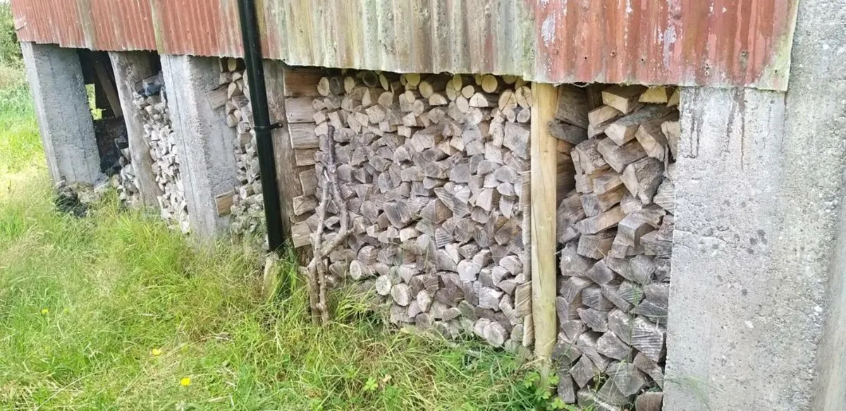 Firewood for sale - Image 2