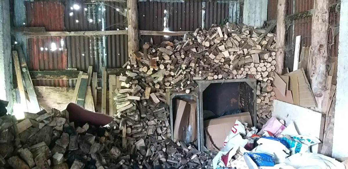 Firewood for sale - Image 1