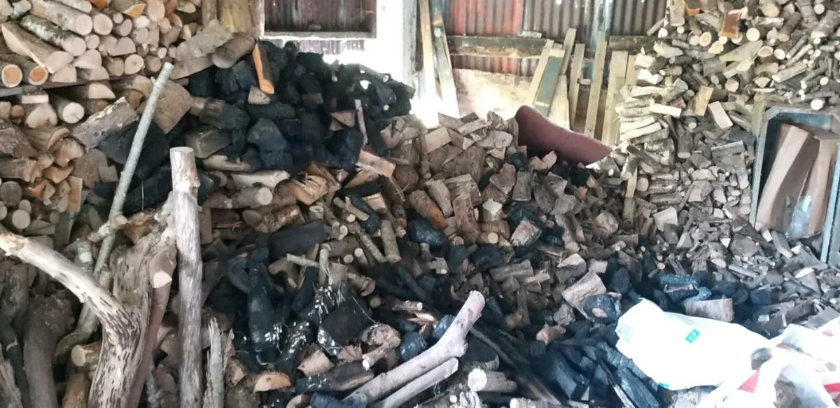 Firewood for sale - Image 4