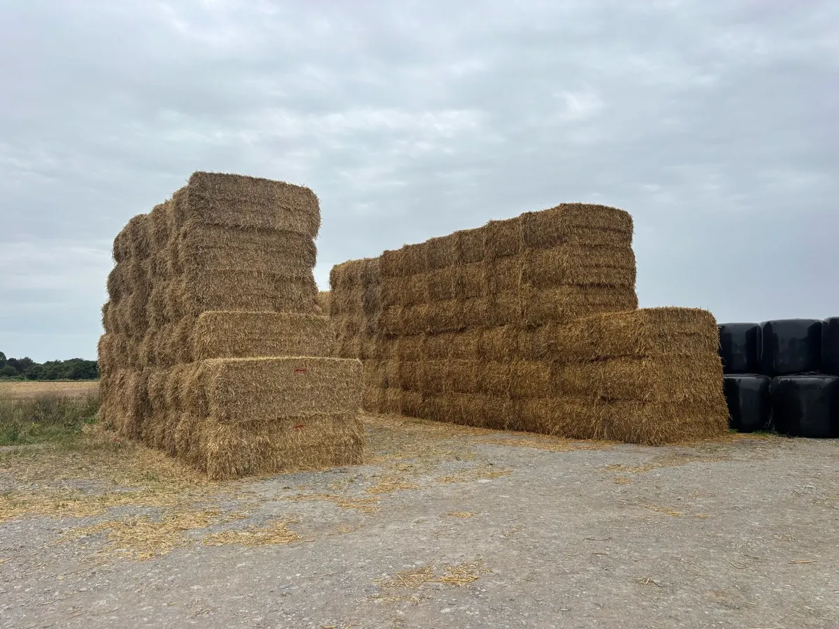 Bedding straw