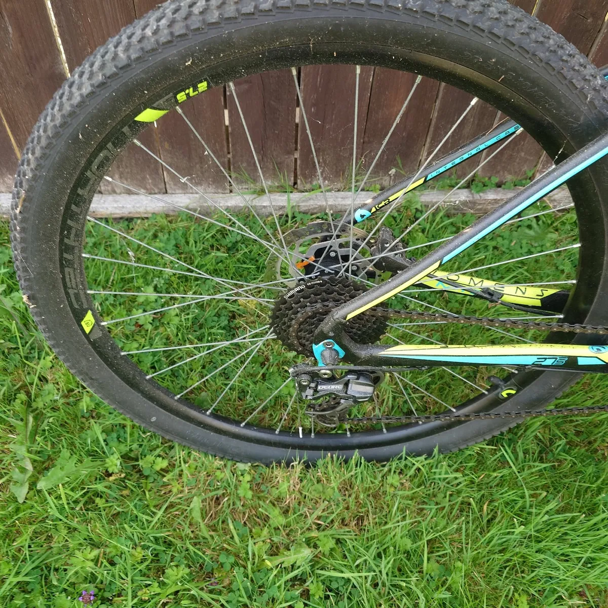 Bike - Image 3