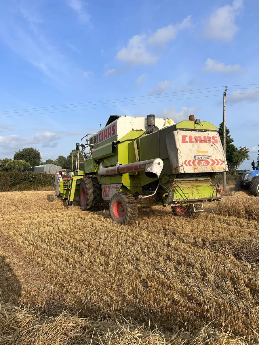 Class mega 203 - Image 4