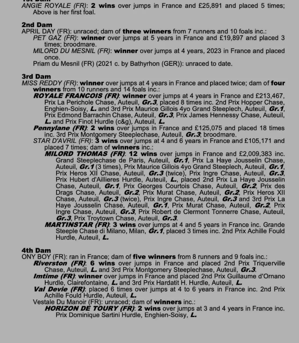 Winning Kapgarde mare - Image 1