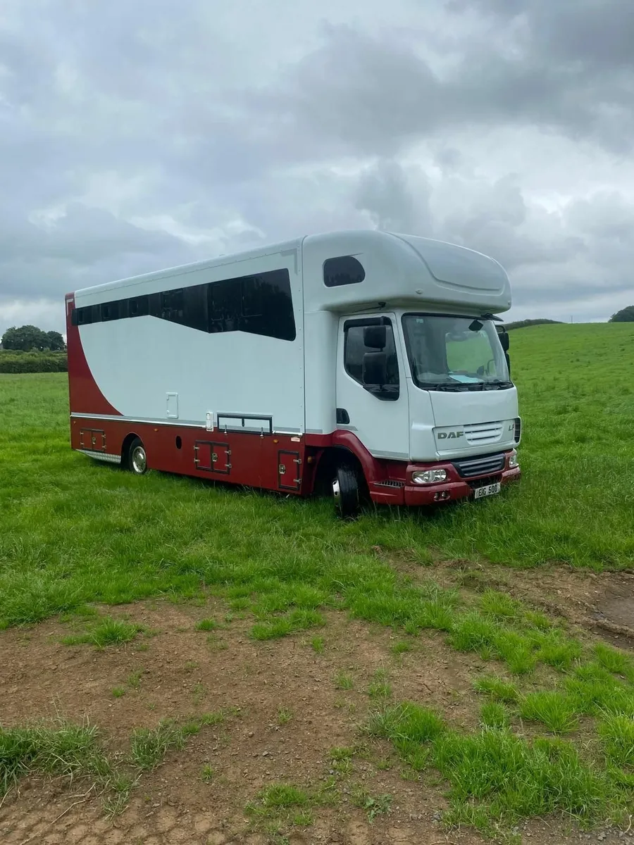 2013 Daf Horse Lorry - Image 3