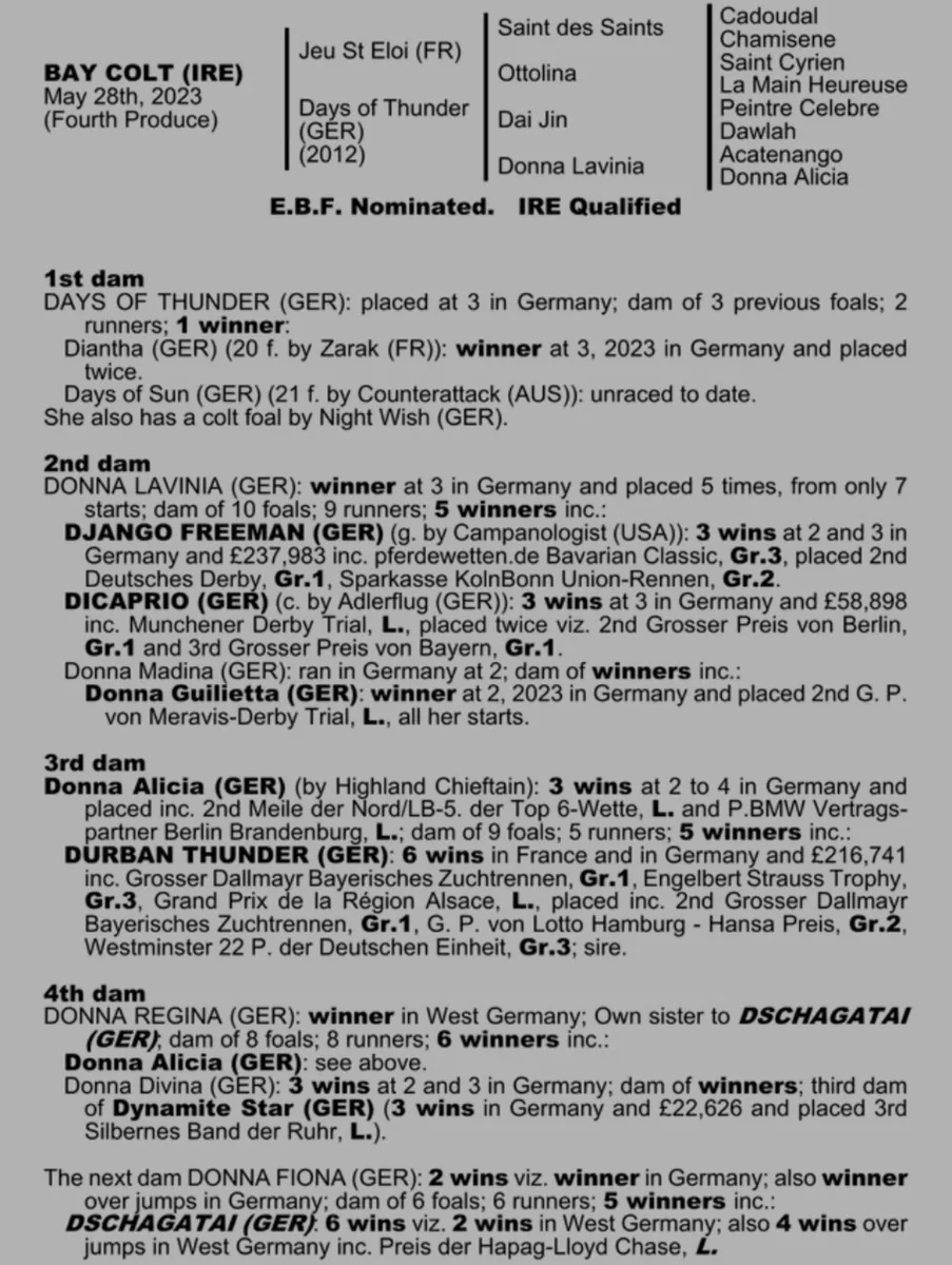 JEU ST ELOI 2 YEAR OLD - Image 1