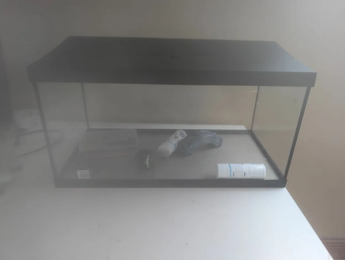 Fish aquarium - Image 1