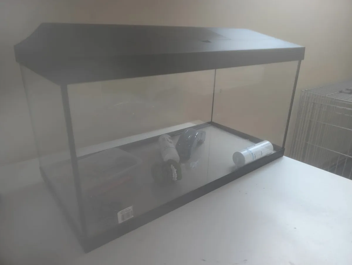 Fish aquarium - Image 2