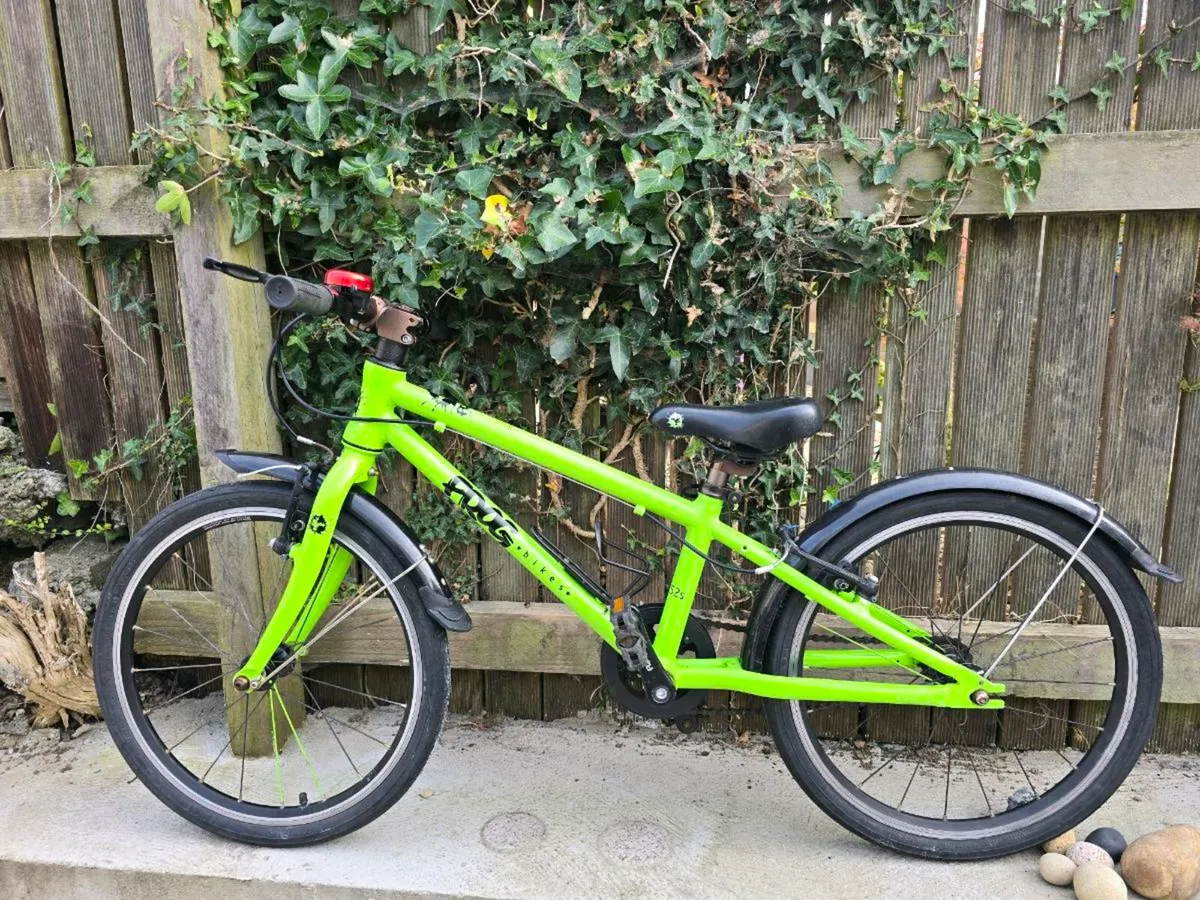 Frog 52 S - Image 1