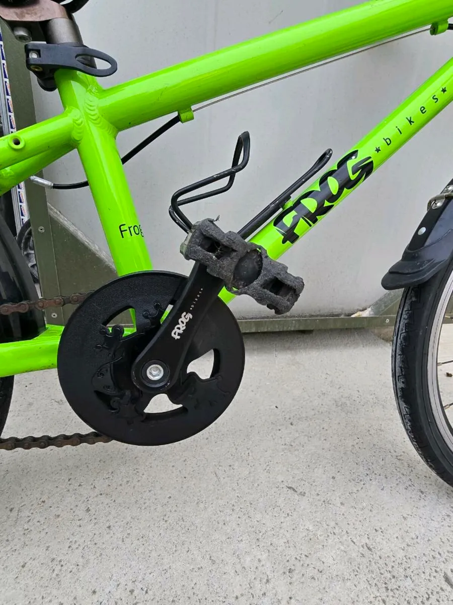 Frog 52 S - Image 4