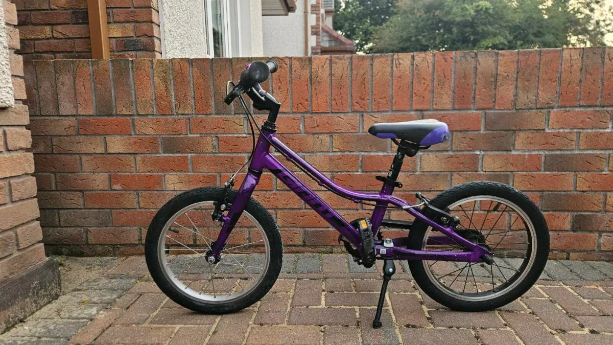 Giant ARX 16" Kids Bike Purple - Image 1