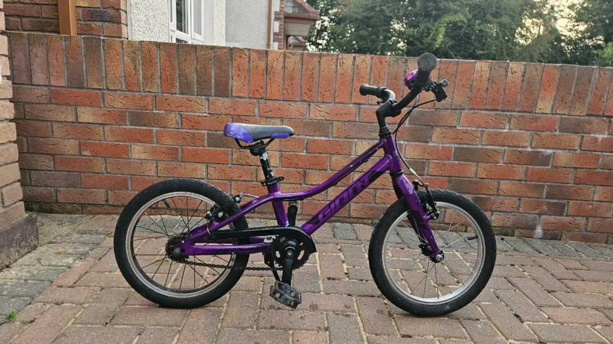 Giant ARX 16" Kids Bike Purple - Image 4
