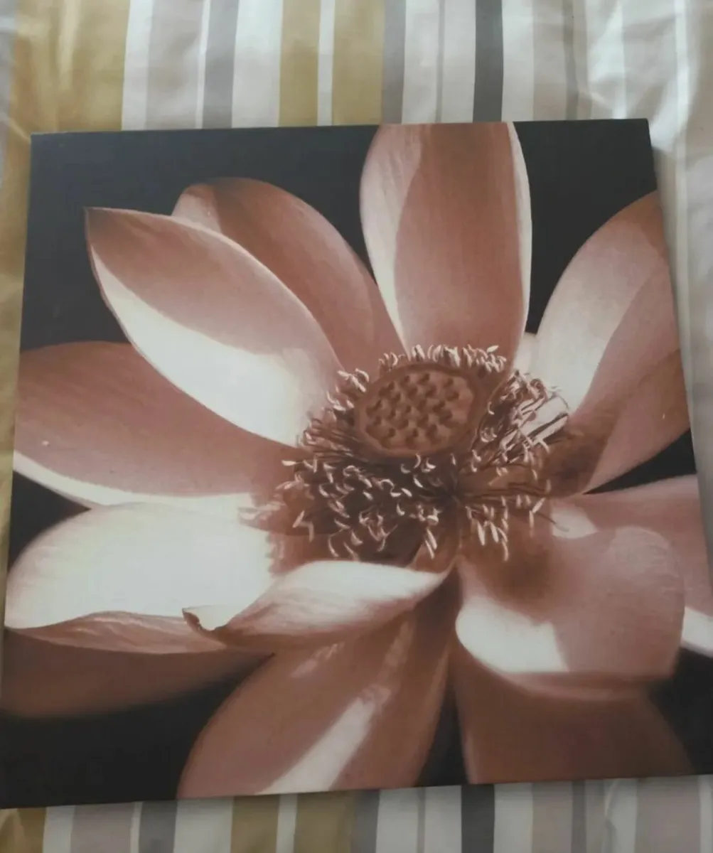 3 matching canvas pictures
