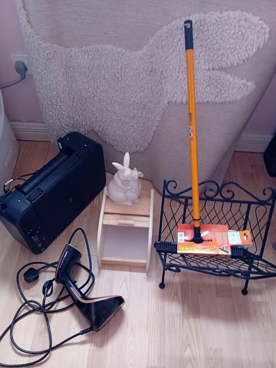 Steam cleaner tefal, rabbit rug, HP printer  etc - Image 3
