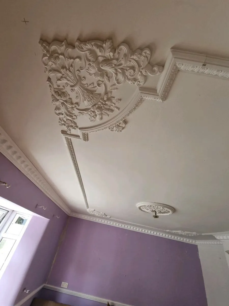 Coving, mouldings, ceiling roses, pilasters - Image 3