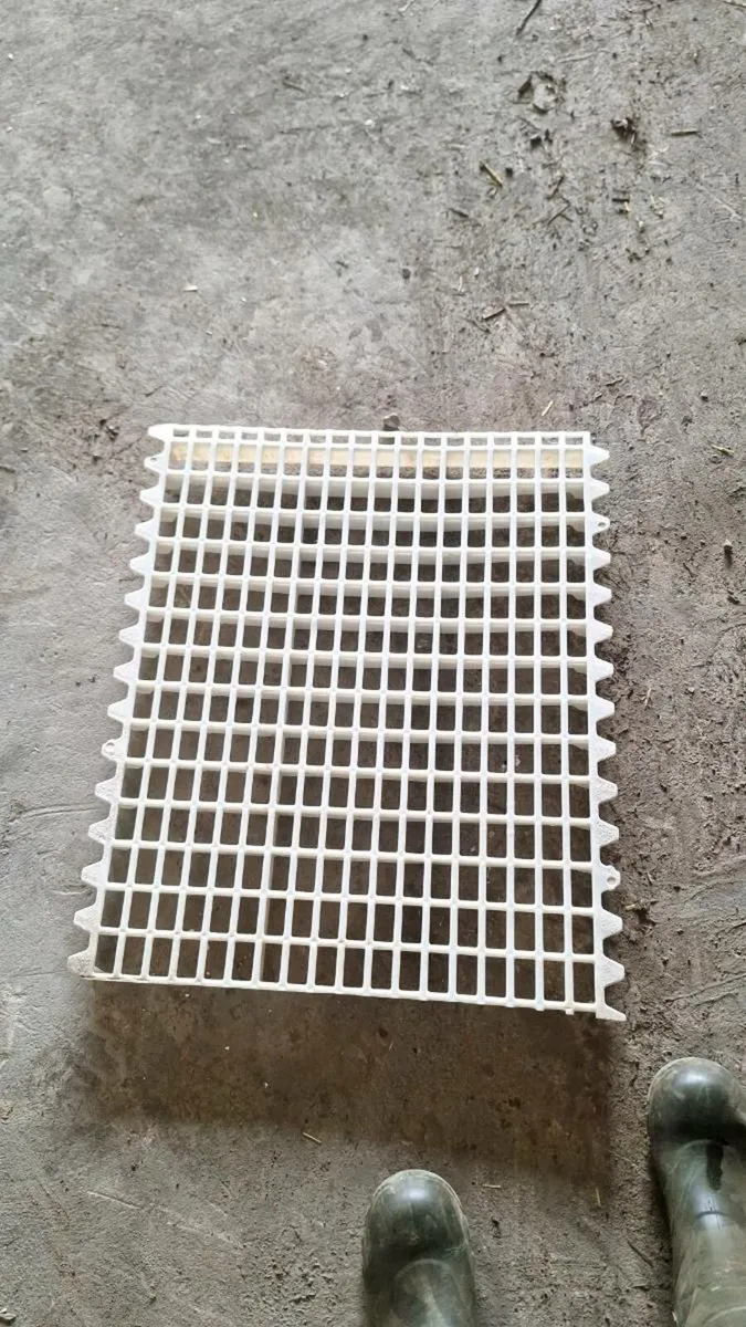 Poultry equipment - Image 1
