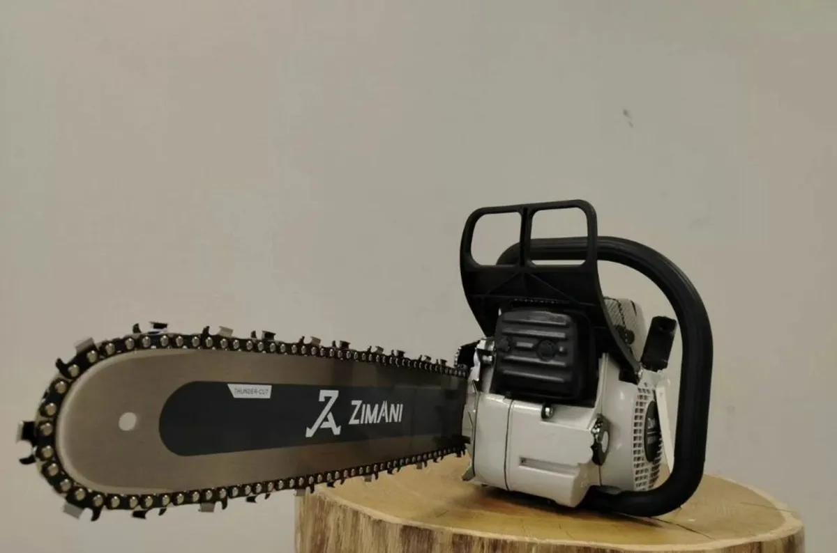 Chainsaw - Image 2