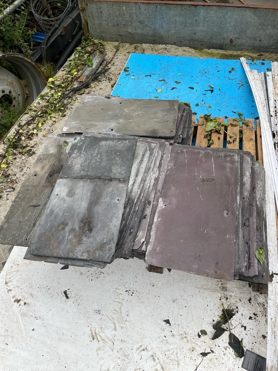 Blue Bangor slates - Image 1
