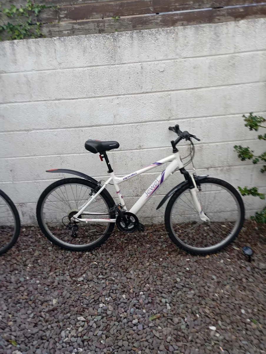 Women's mountain bike
