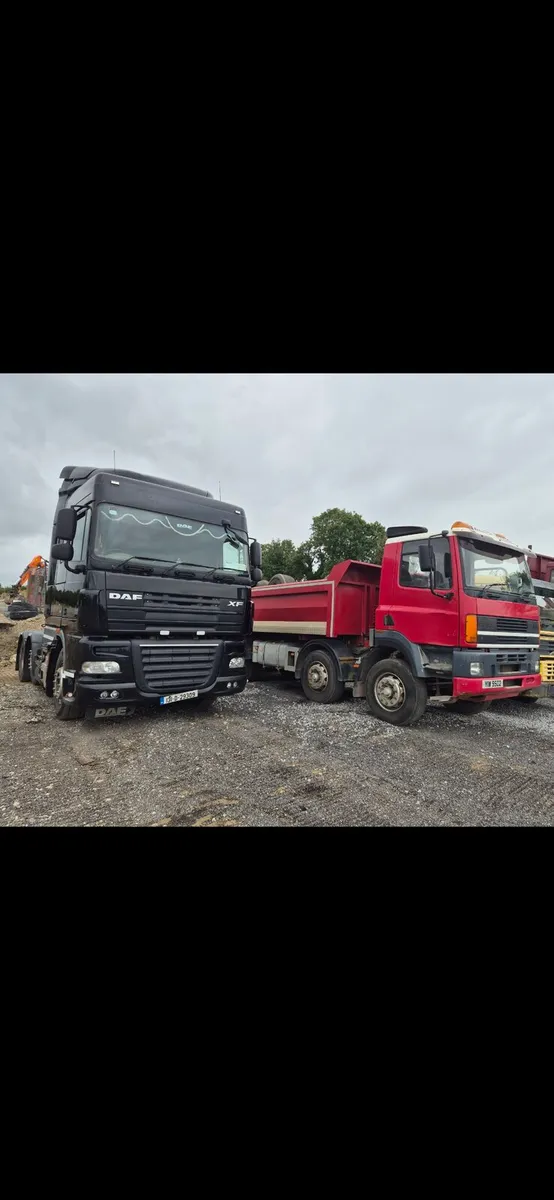 Daf trucks exporting weekly - Image 3