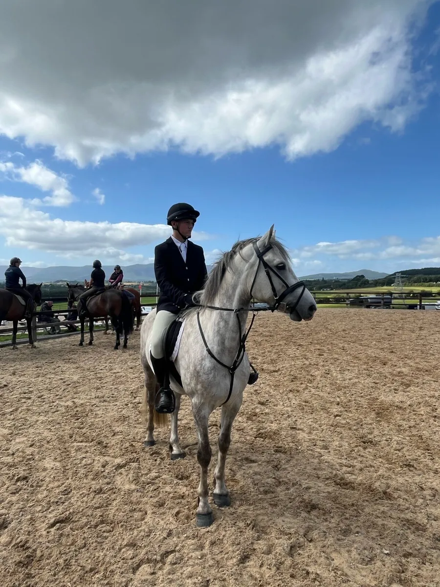 Fabulous 5 year old Connie with competitive edge - Image 3