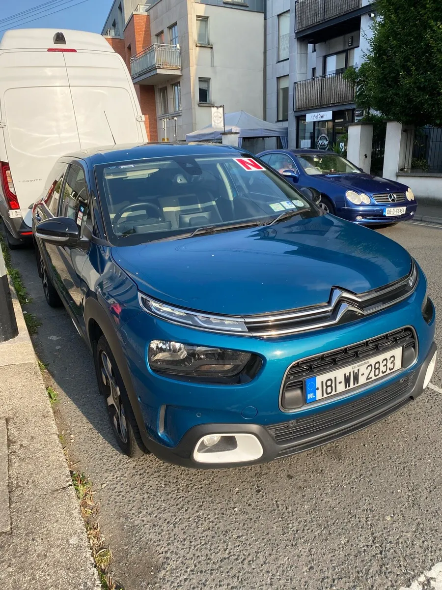 Citroen C4 Cactus - Image 2