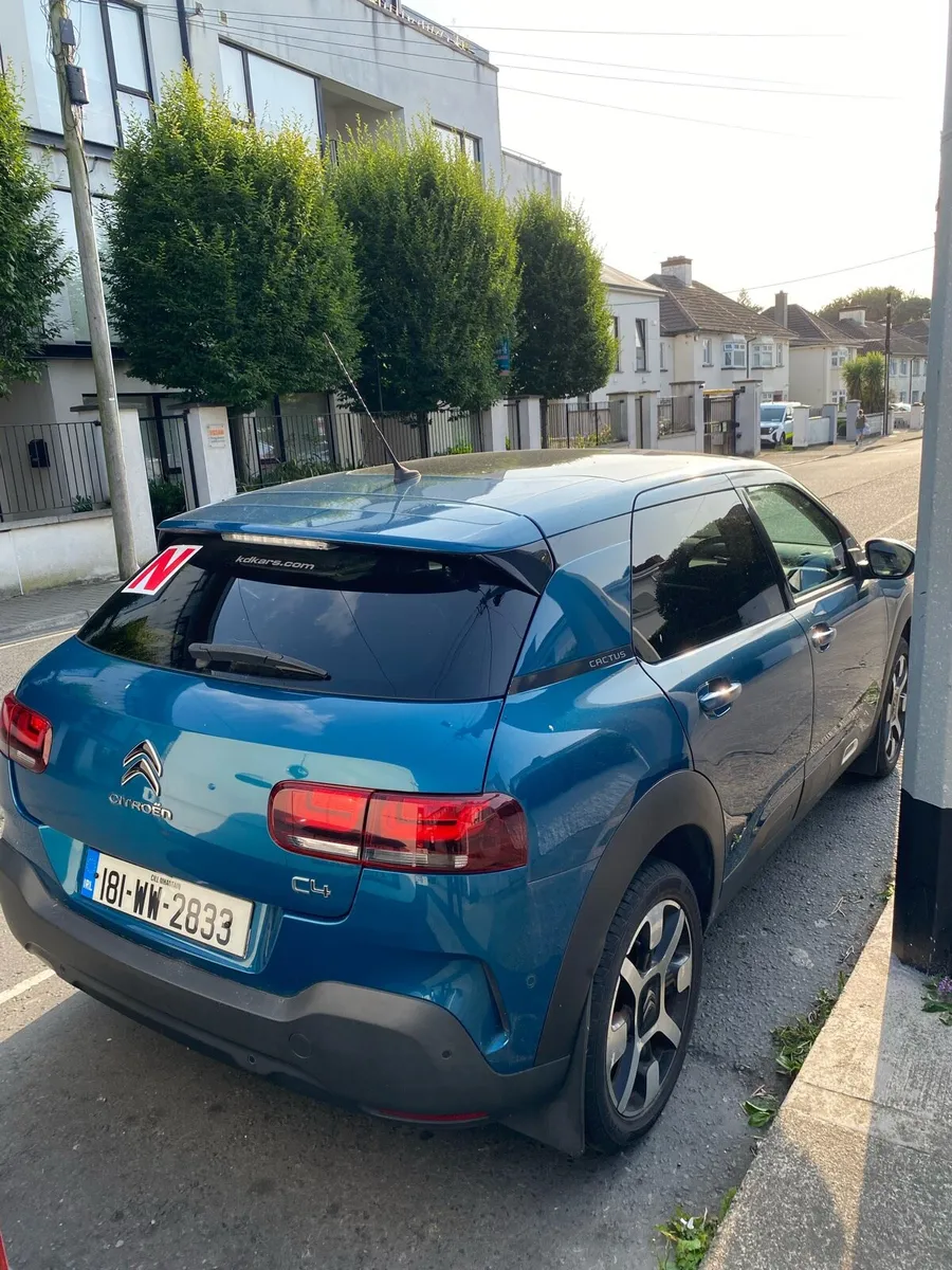 Citroen C4 Cactus - Image 4