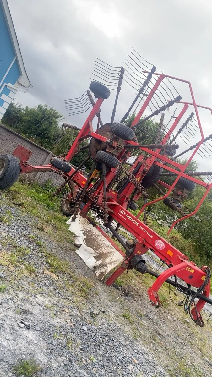 Lely hibiscus 745 vario - Image 1