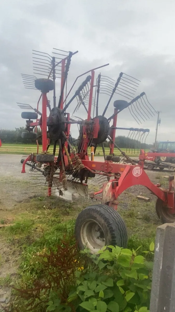 Lely hibiscus 745 vario - Image 3