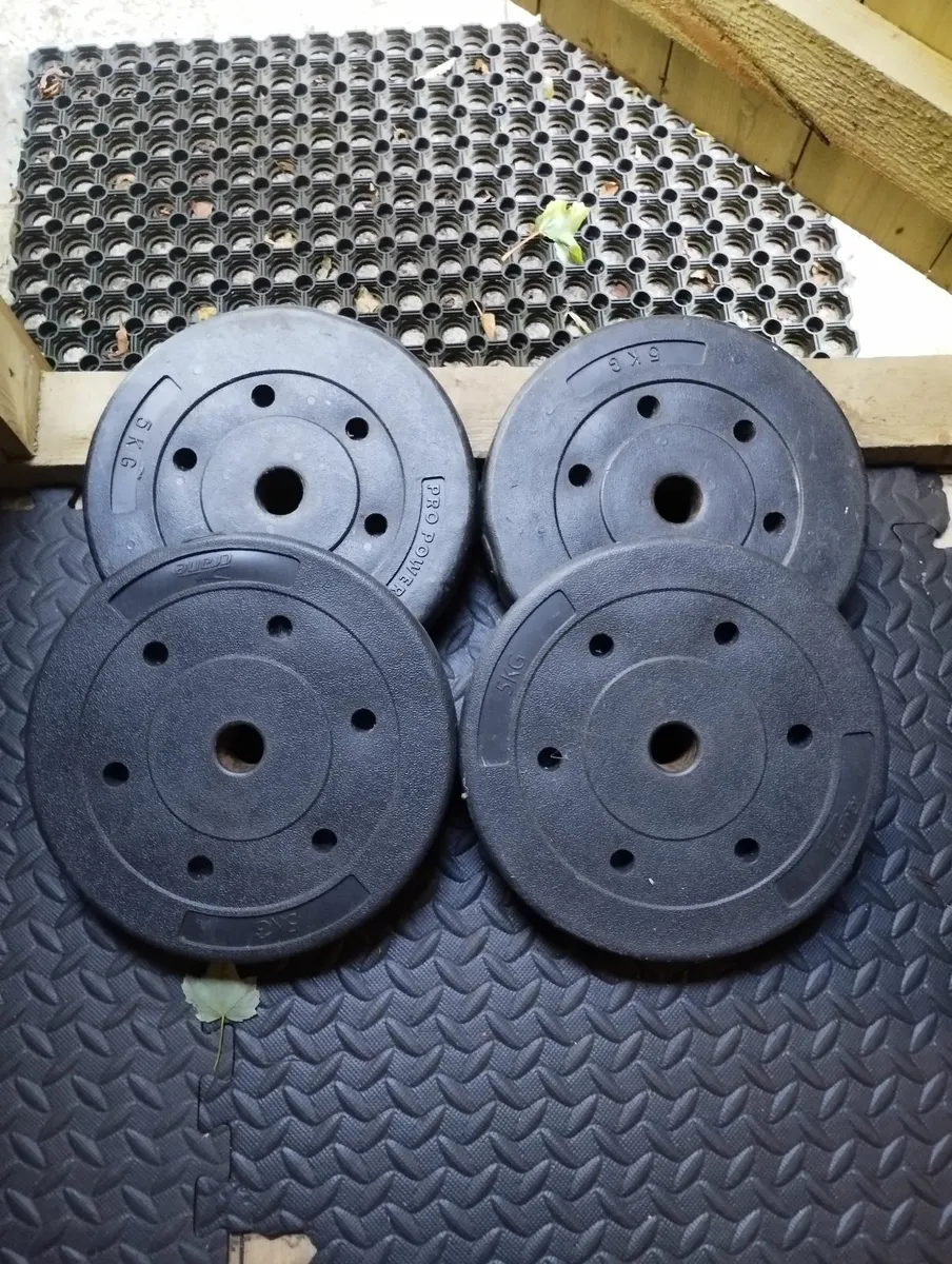 Weights - Image 4
