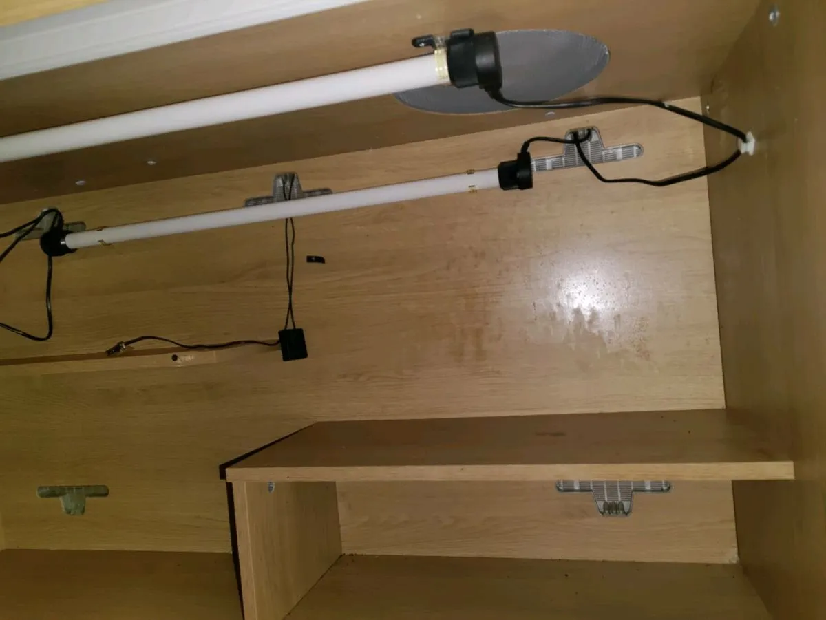 Bearded Dragon Enclosure - Image 3