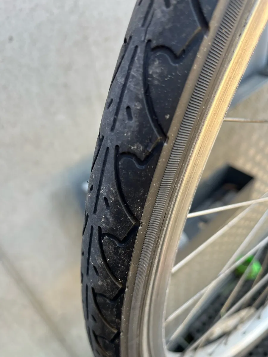 Raleigh City Hybrid - Image 2
