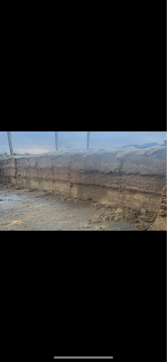 Shear bucket grab - Image 3