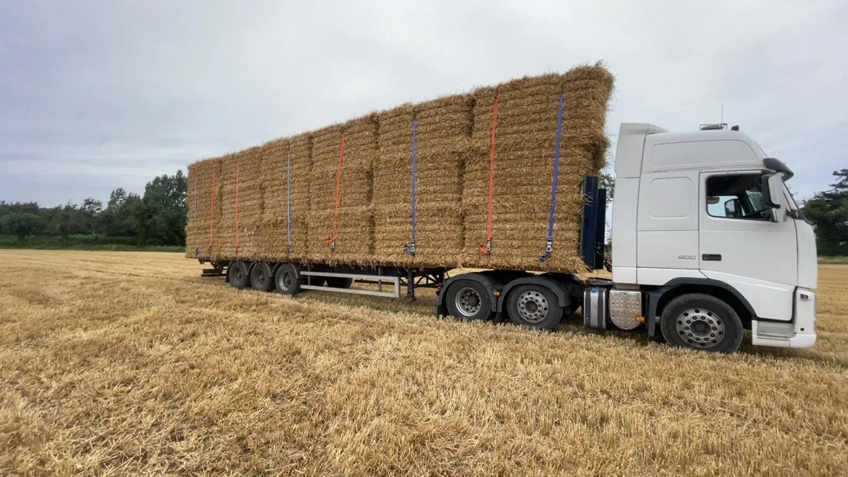 Top quality feeding wheat straw - Image 1