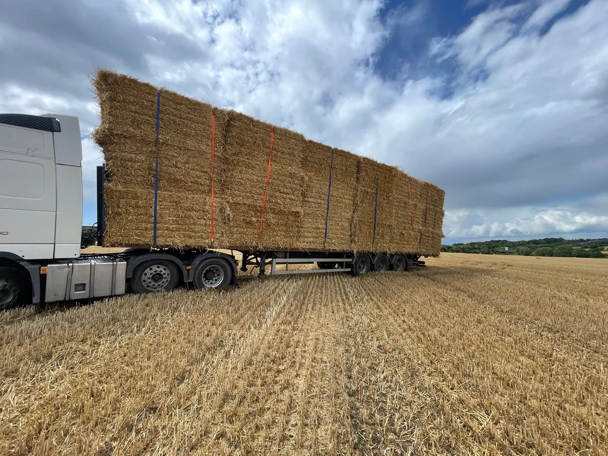 Top quality feeding wheat straw - Image 2