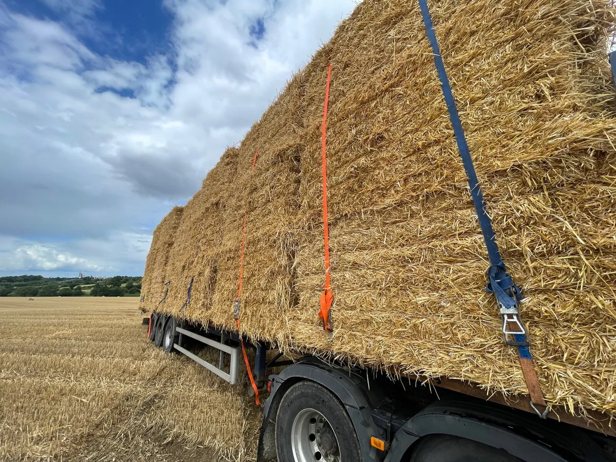 Top quality feeding wheat straw - Image 3
