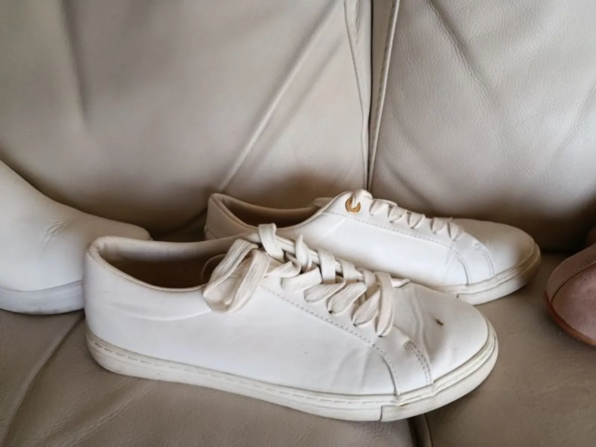 Trainers