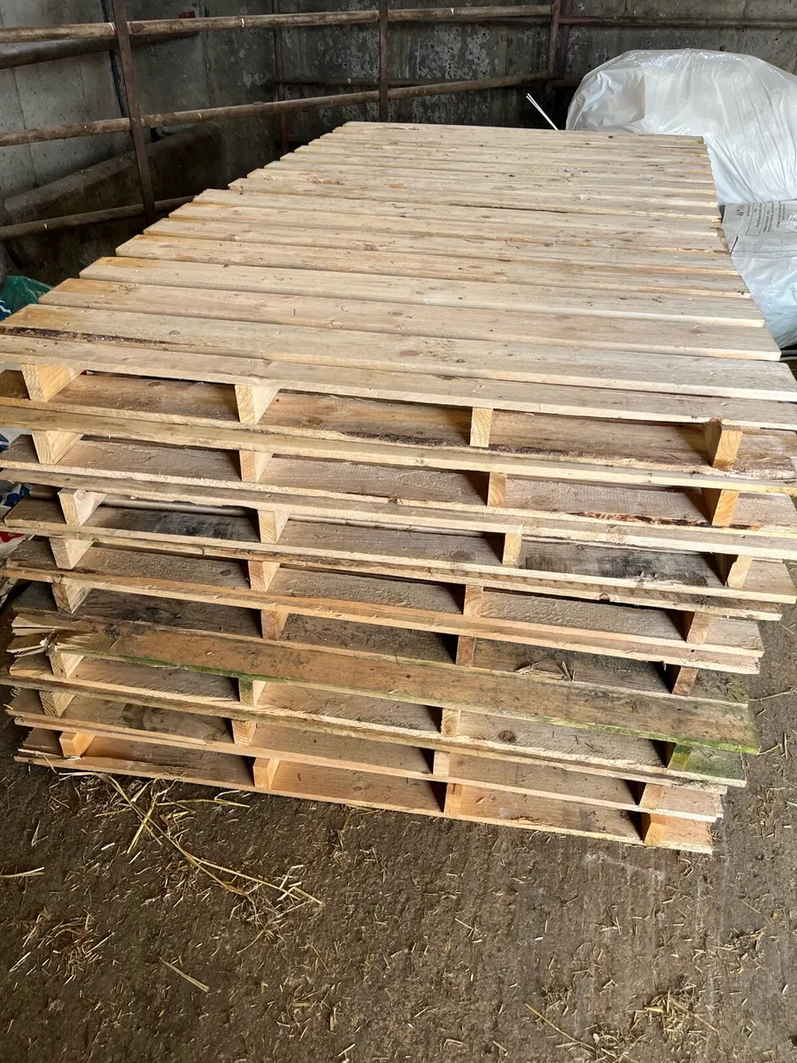 Pallets - Image 1