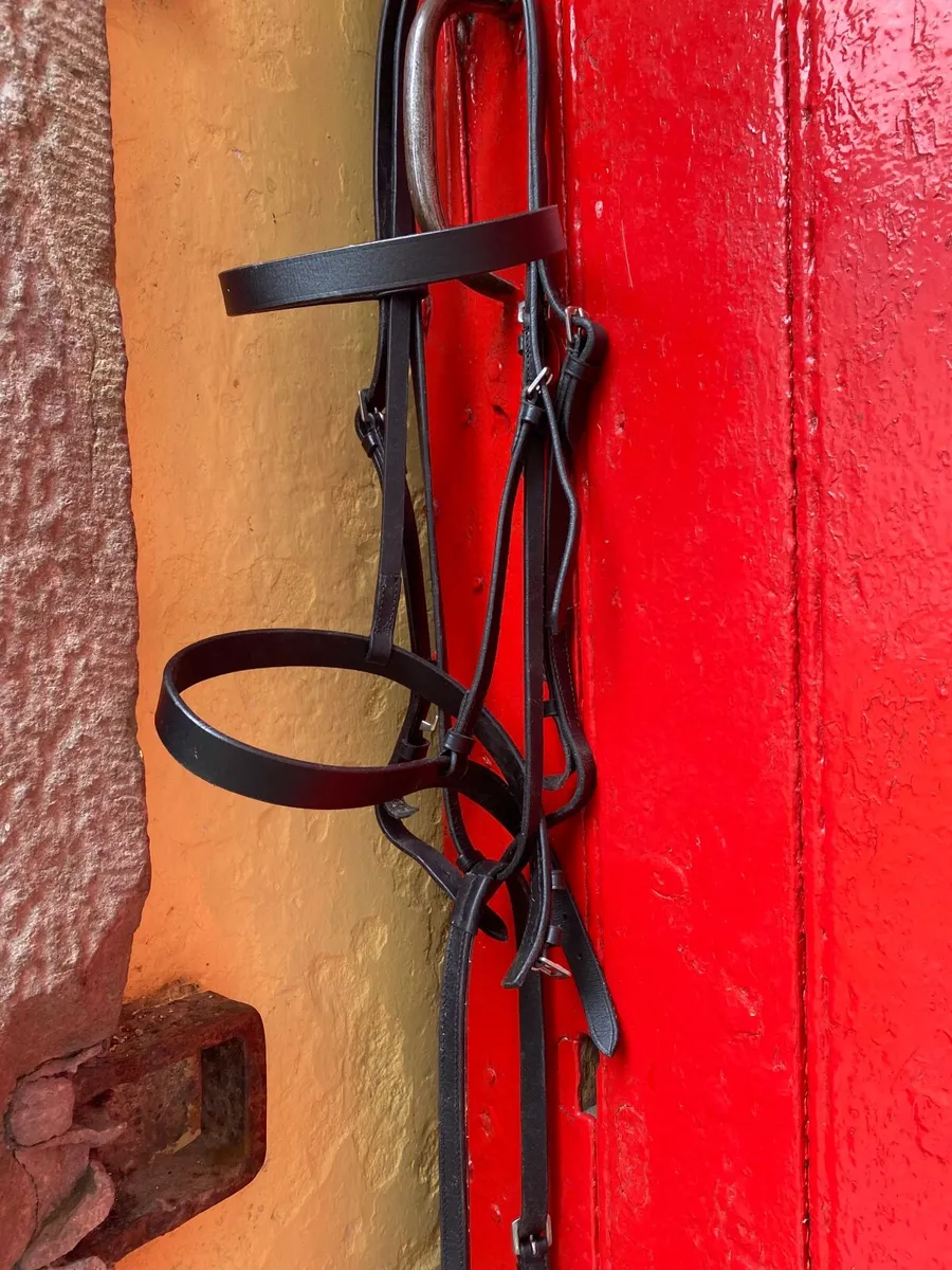Equine tack - Image 2