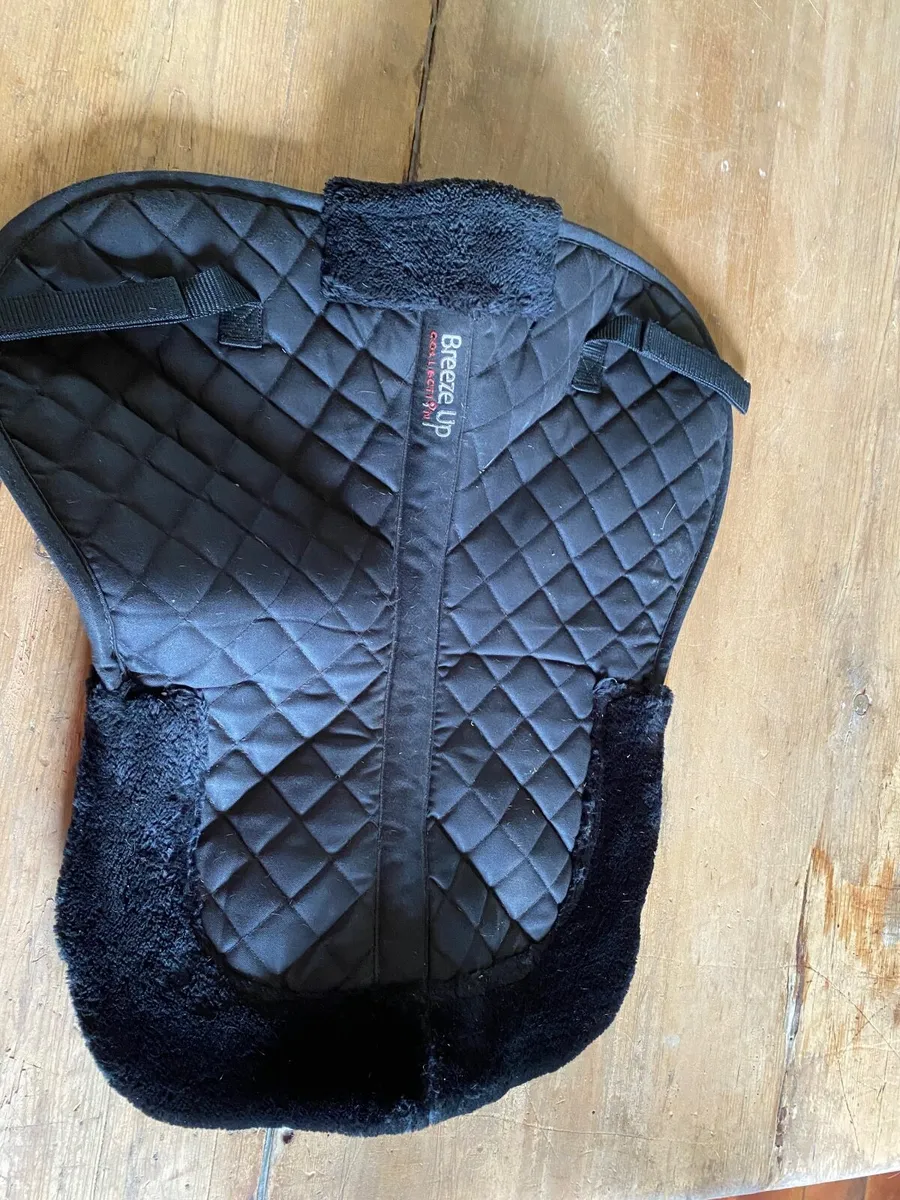 Equine tack - Image 3