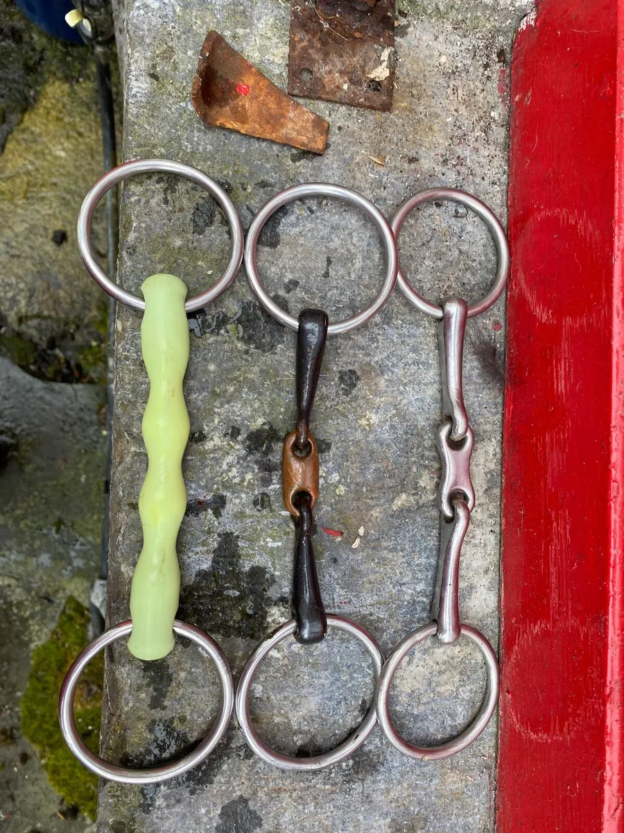 Equine tack - Image 4