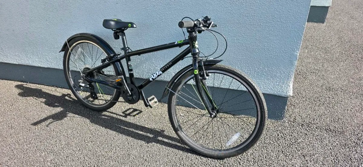 Bicycle Frog 62 - Image 1