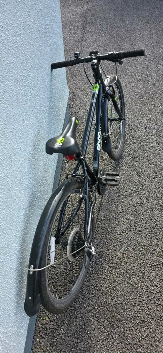 Bicycle Frog 62 - Image 3