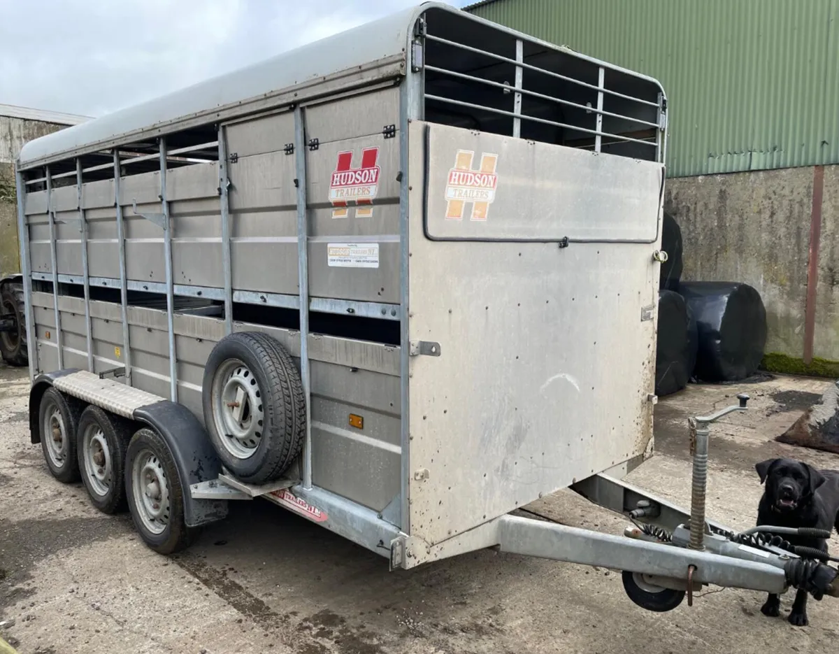 14ft Hudson Livestock Trailer - Image 1