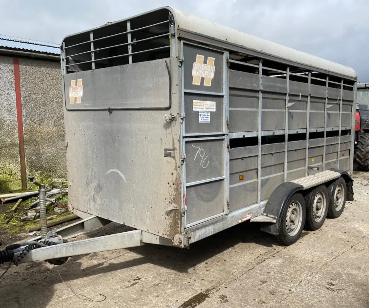 14ft Hudson Livestock Trailer - Image 2