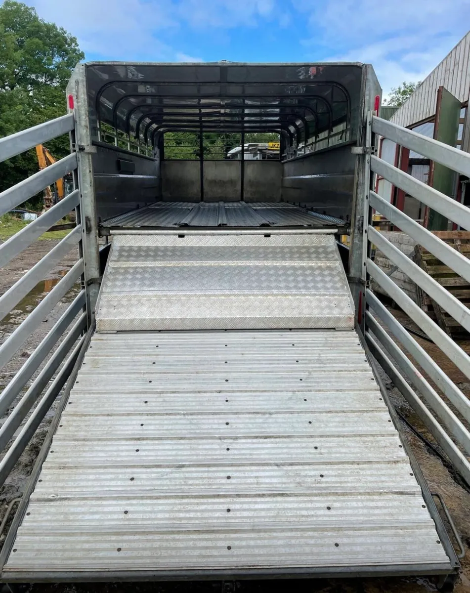14ft Hudson Livestock Trailer - Image 4
