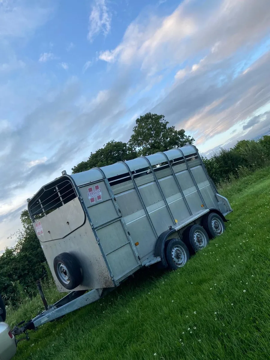 Toyota Land Cruiser & Cattle Trailer - Image 2