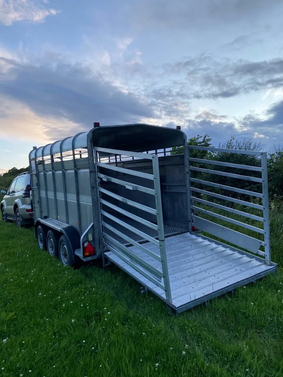 Toyota Land Cruiser & Cattle Trailer - Image 3
