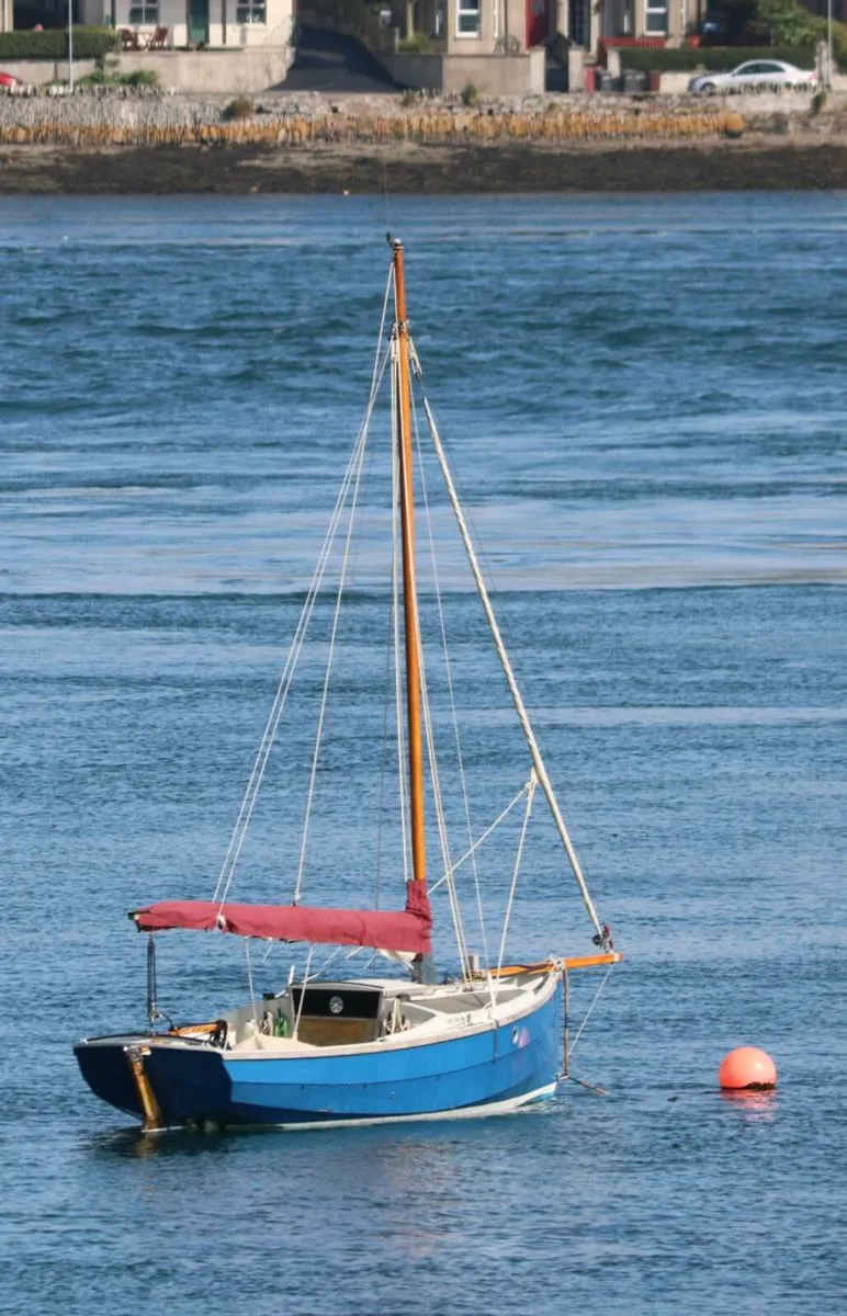 Cornish shrimper 19 sailing boat, trailer & engine - Image 2