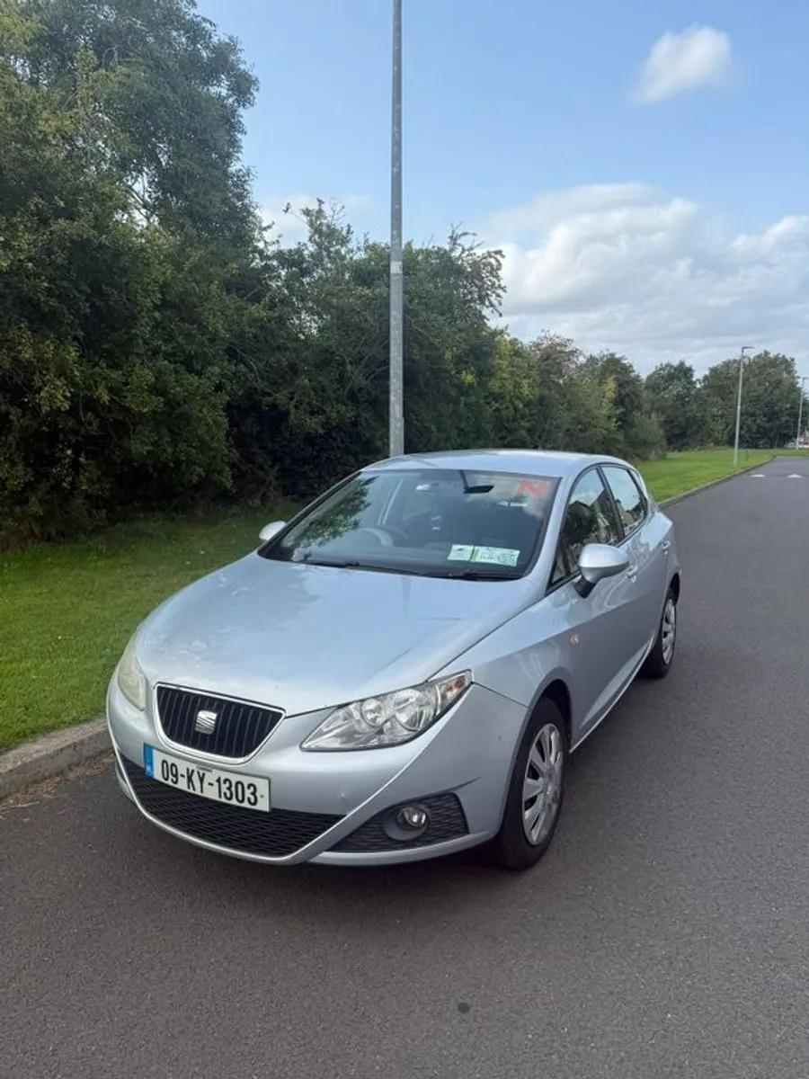 2009 Seat Ibiza - Image 1